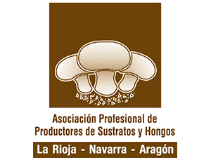 ASOCHAMP